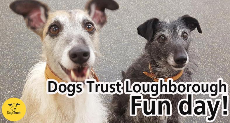 SJS_Sponsor_Dogs_Trust_Fun_Day_2017.jpg
