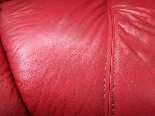 SJS_restoring_faded_leather.jpg