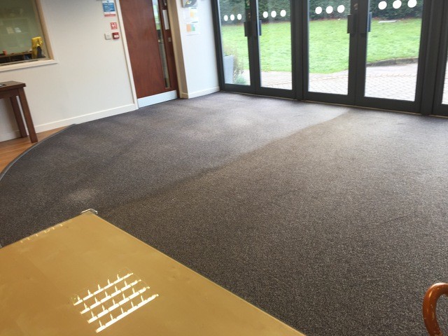 reception before SJS carpet cleaning