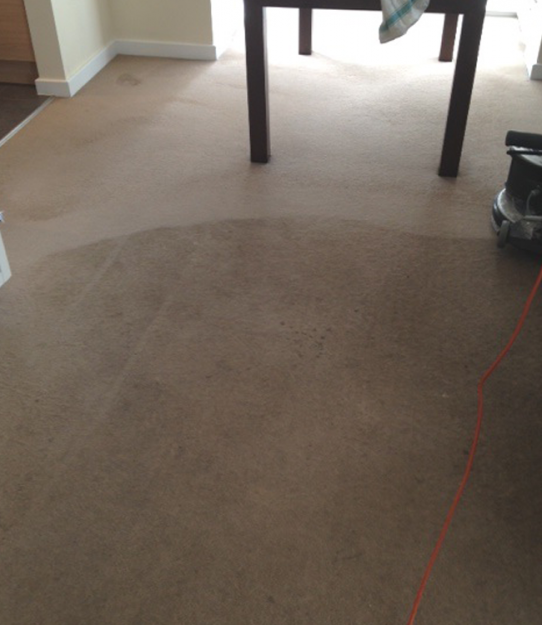 Before and after SJS carpet cleaning