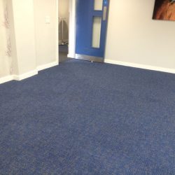 carpet cleaned by SJS