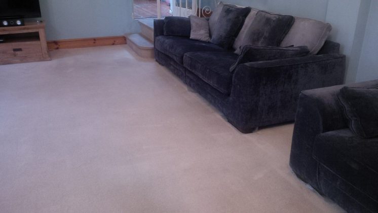 carpets cleaned by SJS carpet cleaning Leicester